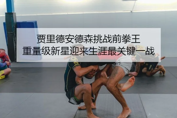 贾里德安德森挑战前拳王 重量级新星迎来生涯最关键一战